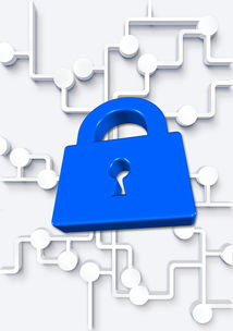 渗透测试和安全测试的区别:一文读懂如何构建更安全的数字城堡